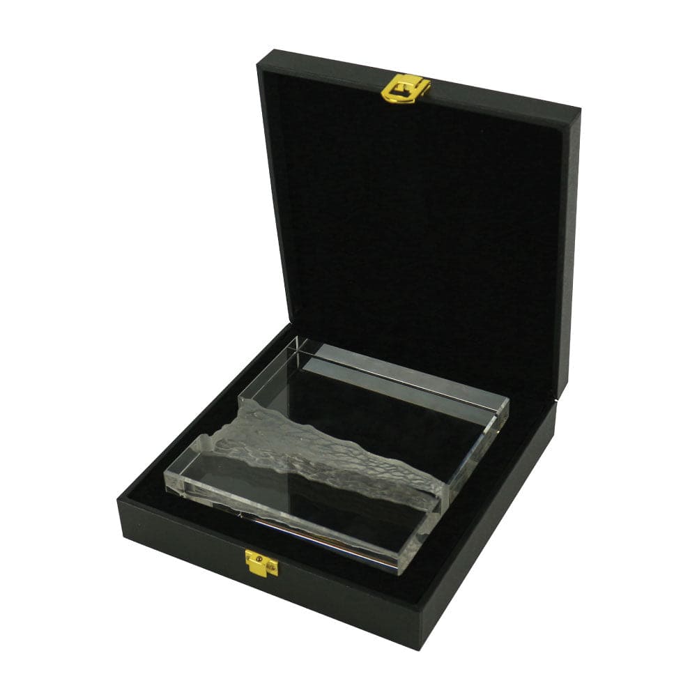 10 Square Crystal Awards in Hardboard Box