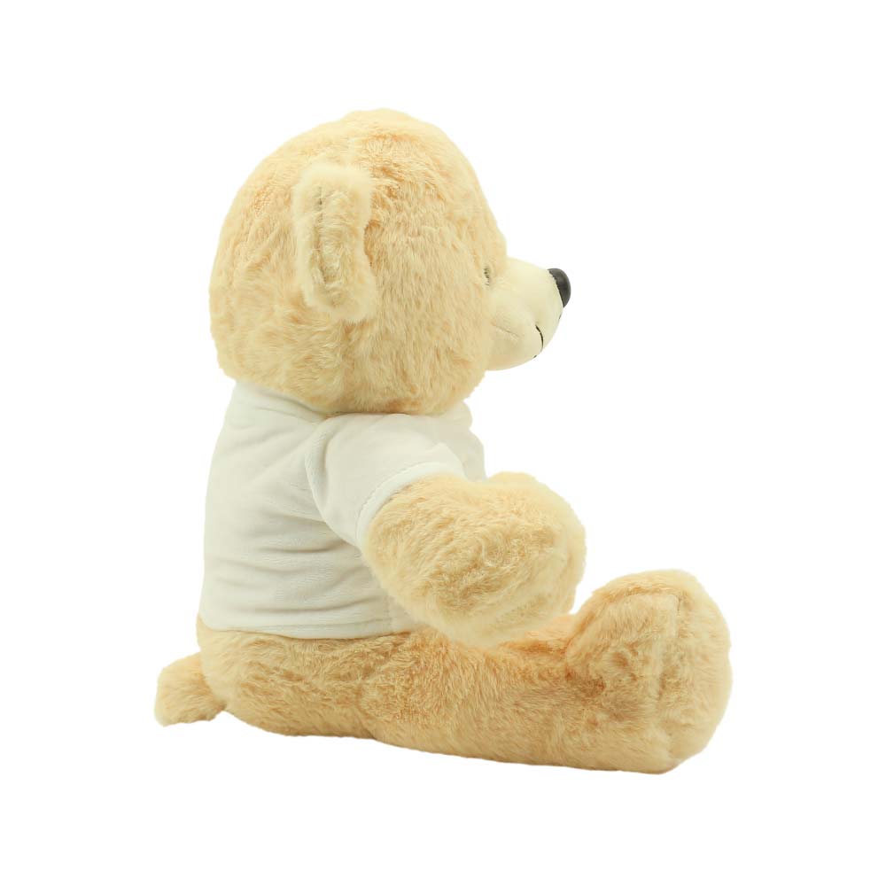 1 Promotional Teddy Bear Toys with Printable White Tshirt