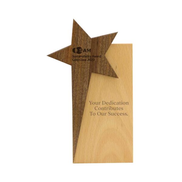 24 Star Design Wooden Trophy