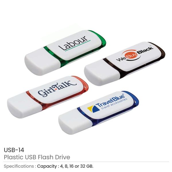 100 Promotional Plastic USB