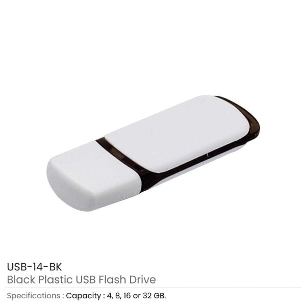 100 Promotional Plastic USB