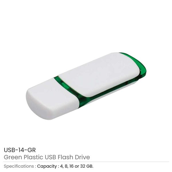 100 Promotional Plastic USB