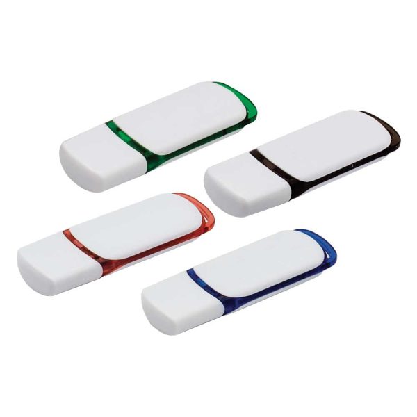 100 Promotional Plastic USB